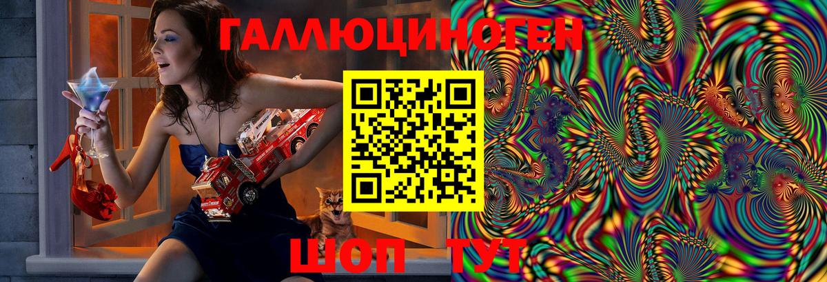 Галлюциногенные грибы Psilocybe Донской