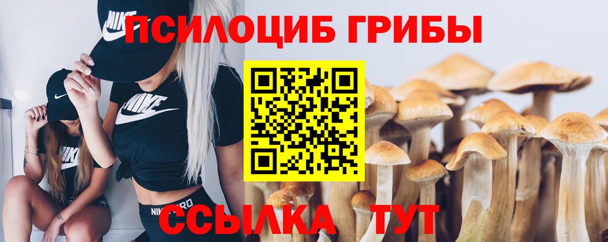 Псилоцибиновые грибы прущие грибы  Псилоцибиновые грибы прущие грибы  Донской  магазин продажи наркотиков  Вход с VPN 